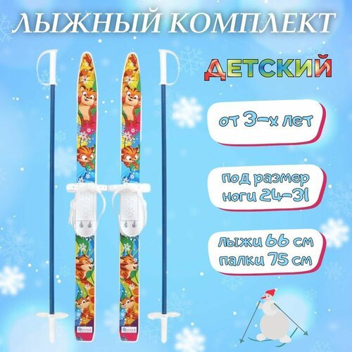 Лыжи детские с палками Тигренок 75 см