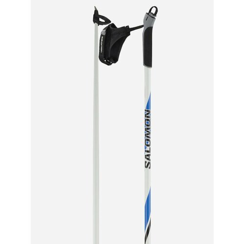 Лыжные палки Salomon R 20 бело-синии сезон 22 130 см